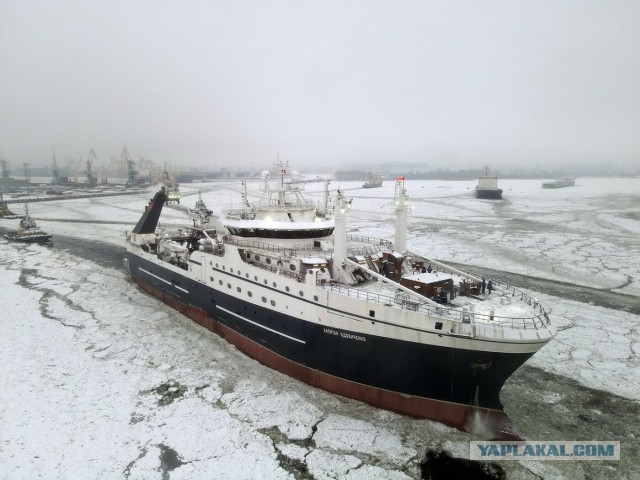 Первый супертраулер отправился по Северному морскому пути на промысел в дальневосточные моря