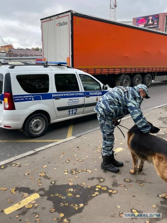 Пандемия съехавших крыш - разновидности болезни. Россия и мир. Часть 43.
