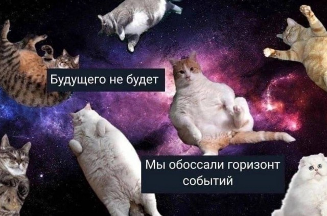 Немного мемчиков. Для взрослых. Часть 22