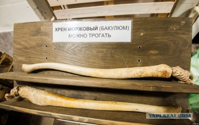 Кулинарный неформат