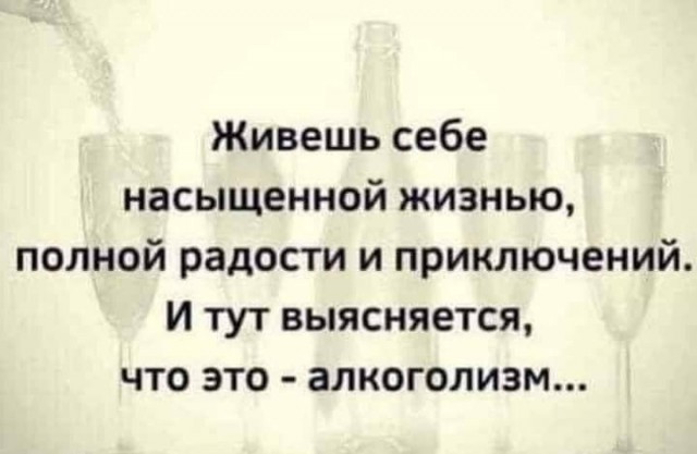 24 слона выпили ликер деревенских жителей и пьяные уснули в лесу