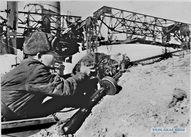 Фотографии второй мировой, многие цветные (фото)