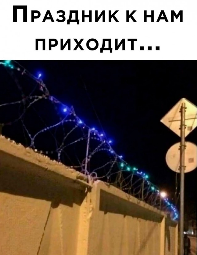 Так себе картинки 24.12.22