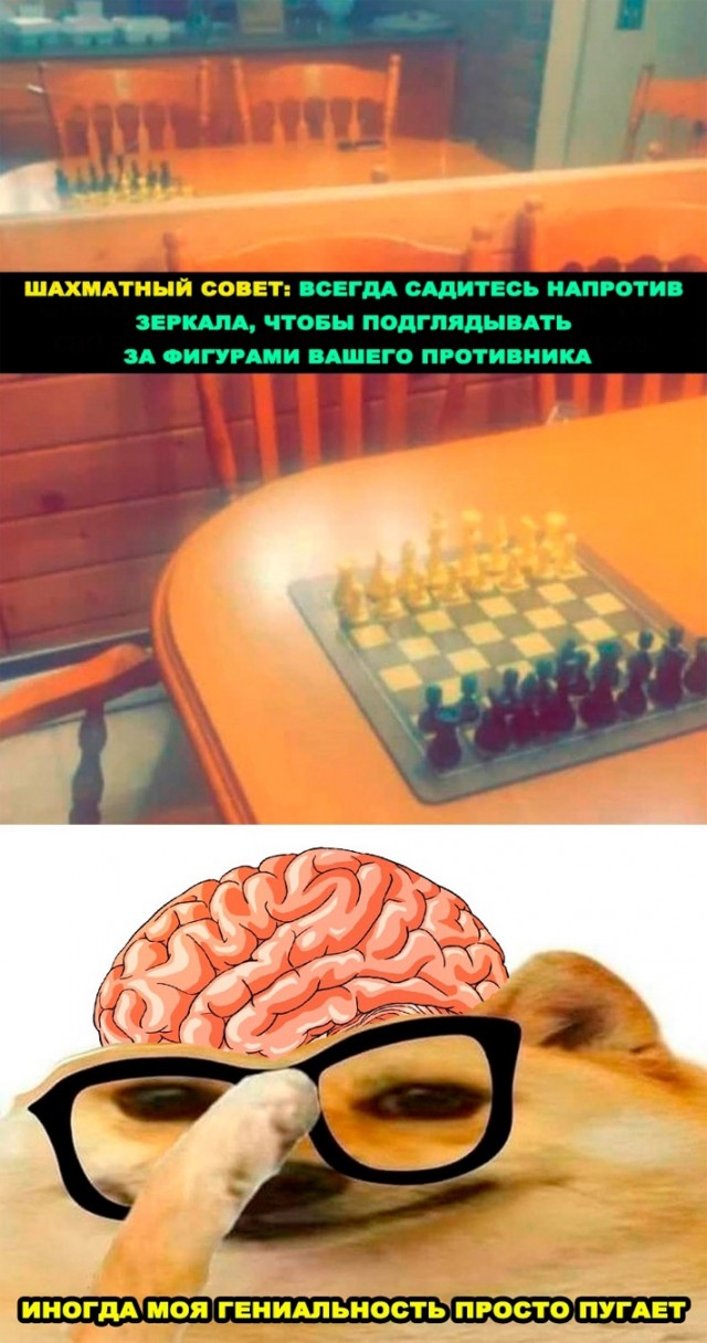 Картинки и мемы, всем хороших выходных