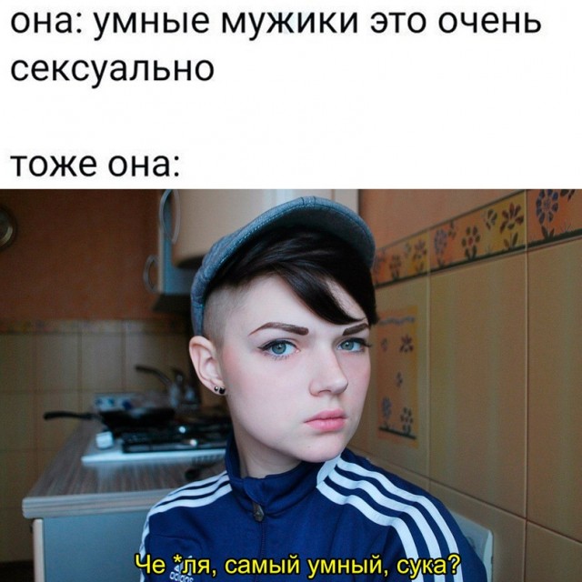 Весёлый полтишок 17.01.23