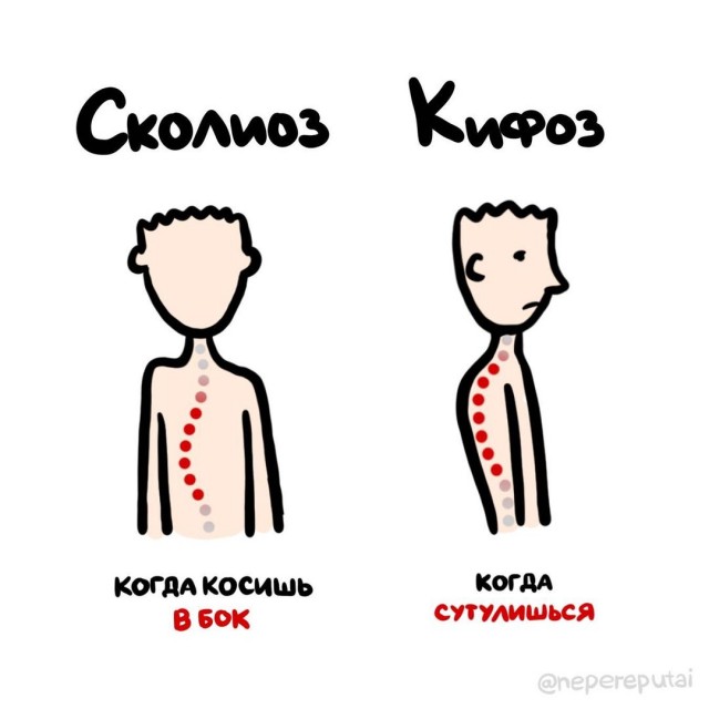 Смотри, Кутузов, не перепутай...