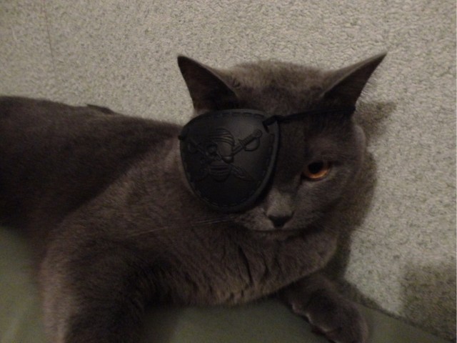 Совпало же? В котовторник