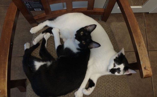 Деревенская Америка - 9