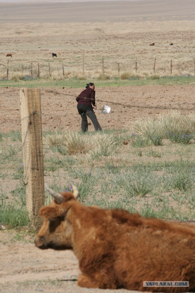 В Монголию на мотоциклах 2006