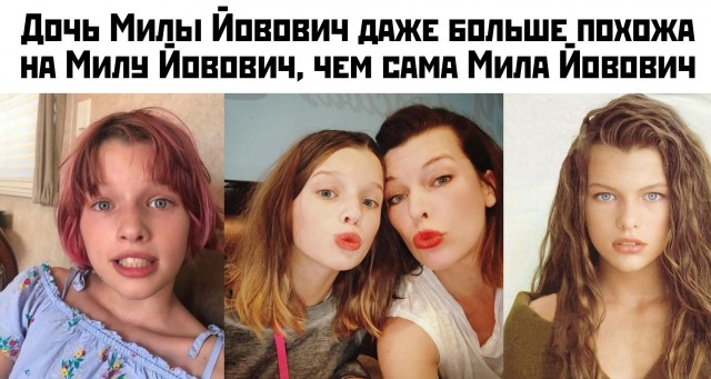 "Если исходник качественный, то и копии будут качественными" © Xerox