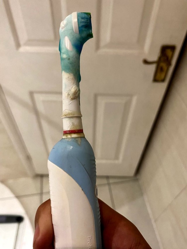 17 историй, когда люди осознали, что живут с «монстром», которого надо учить вести себя по-человечески