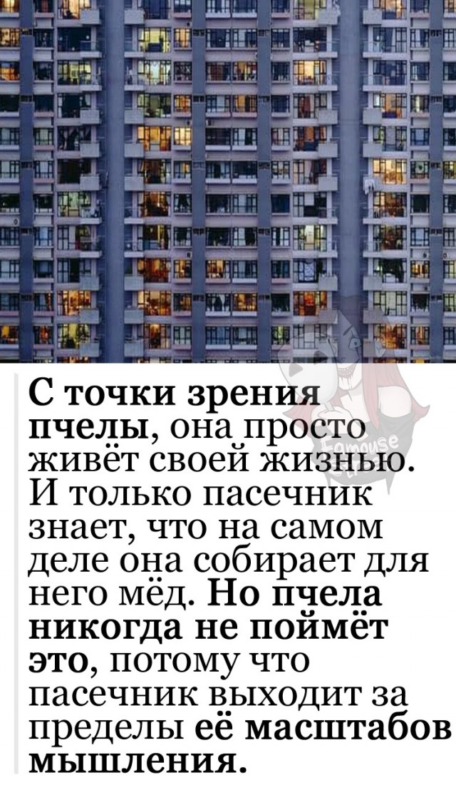 «От этого пахнет животноводством»: мужской ответ на заявление министра, что женщинам нужно сначала рожать, а потом — учиться