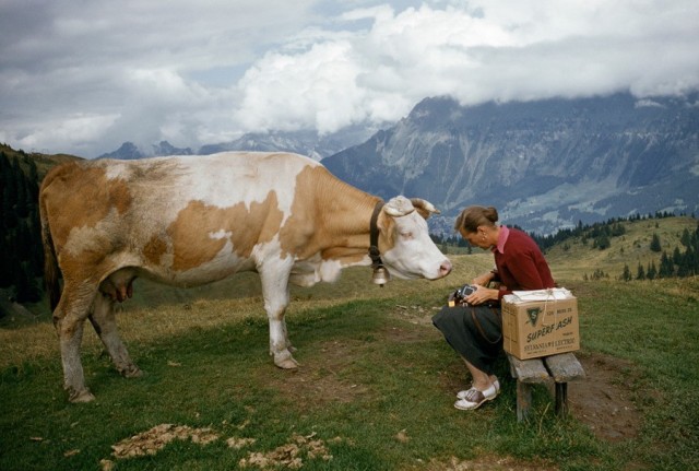 Фотоархив National Geographic: восторг и трепет в фотографиях со всего мира