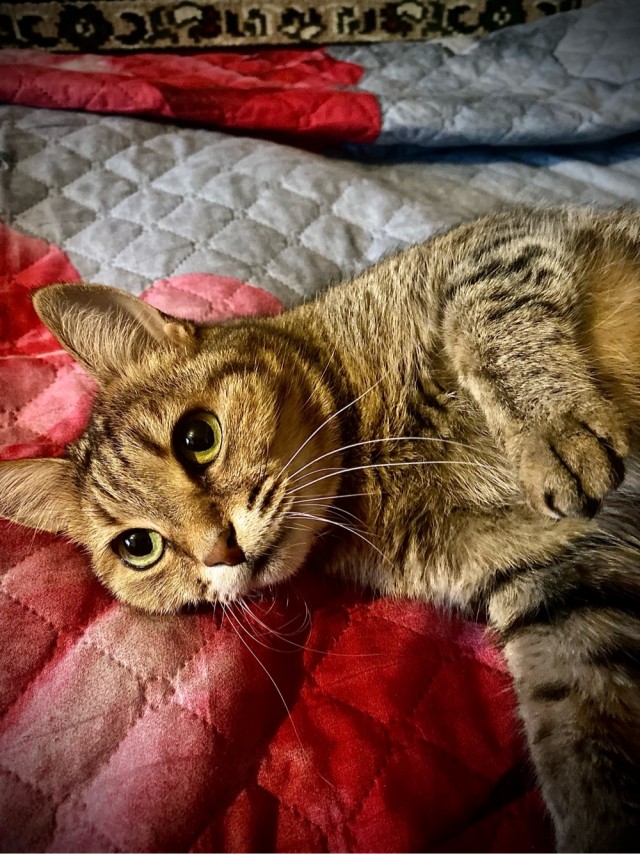 Плюс один раб)