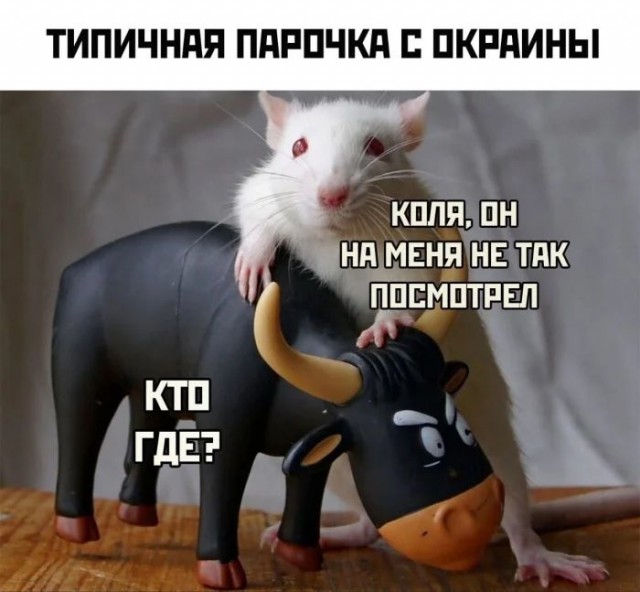 Приколы в понедельник