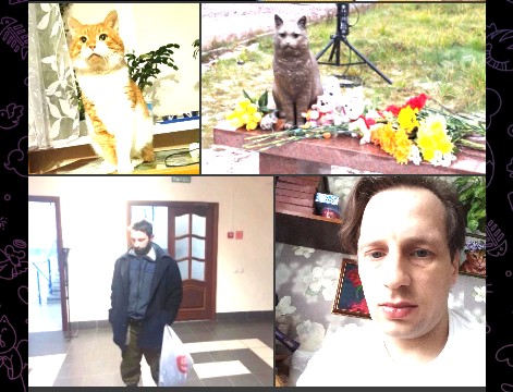 На СВО погиб убийца кота Кузи из Северодвинска