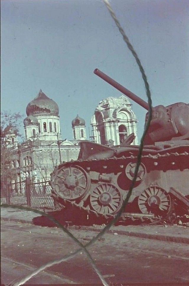 Цвет войны. Фотоподборка