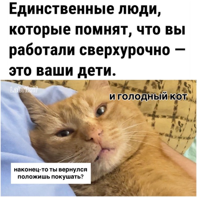 ТРРРидцать тРРРи от 23 апРРРеля