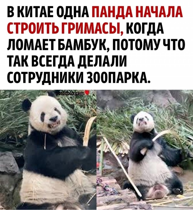 Весёлый полтишок 30.04.24
