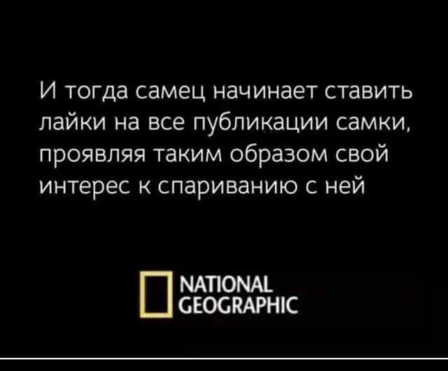 Майская чернушка