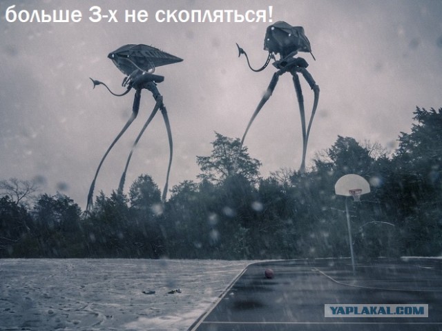 В лесах подмосковья заработала система обнаружения больших групп людей: Лес Чудес отменяется