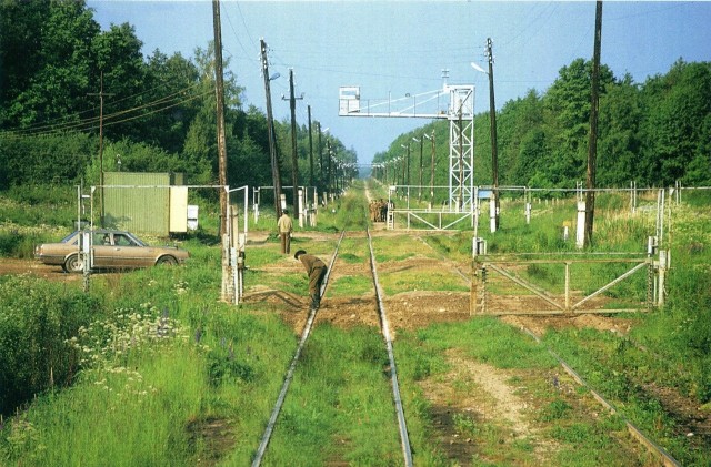 Интересные фотографии 1990 -х 29.08.24