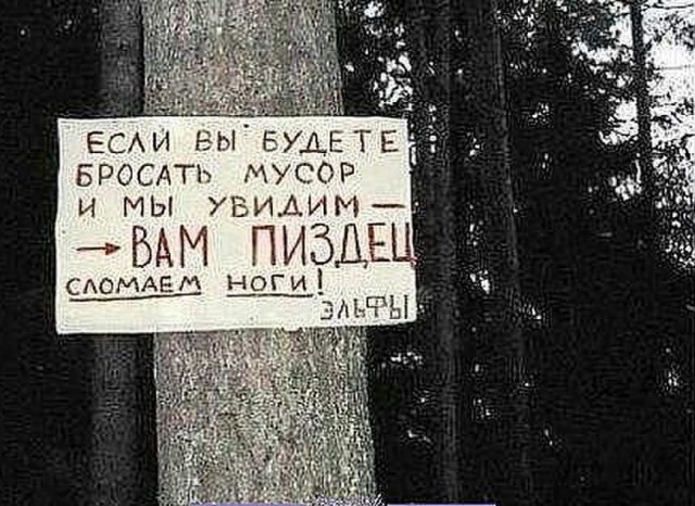 Результат толерантности у эльфов