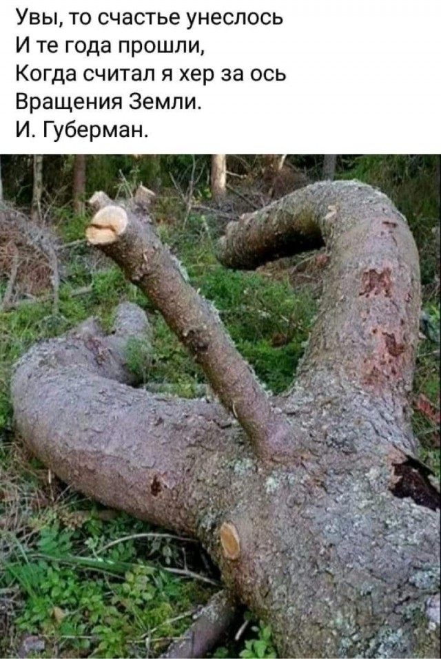 Парейдолия в искусстве