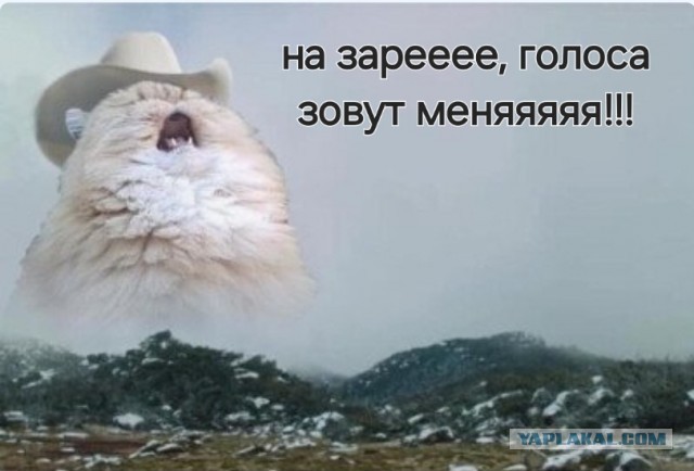 Назаре - место с наивысшими волнами в мире