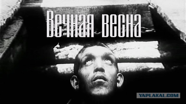 40 лет «Гражданской Обороне»