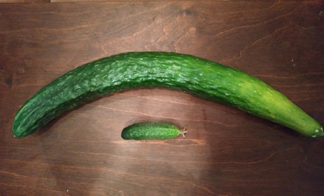 Светлое будущее, но есть подвох