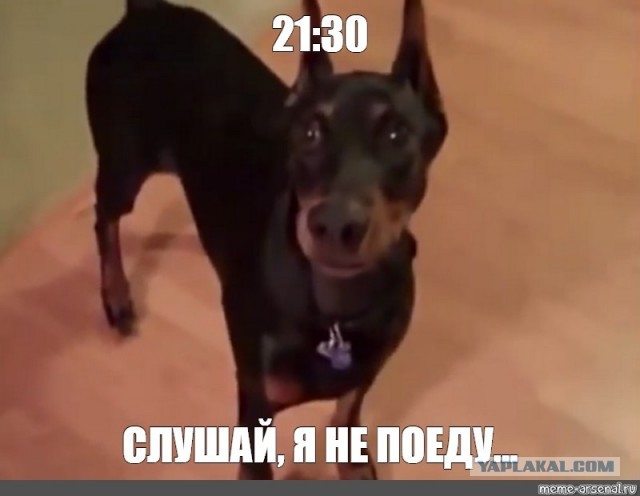 Я не пойду! Мне страшно!