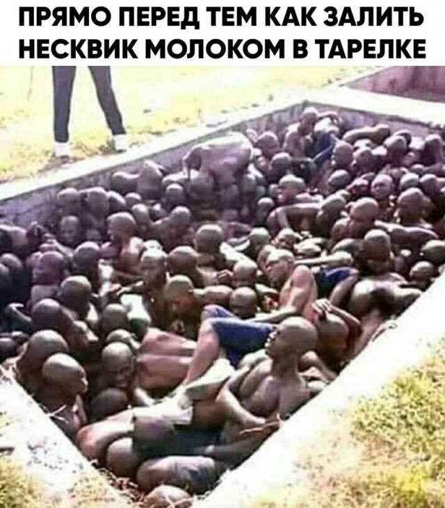 "Черные" баяны