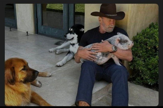Арнольд Шварценеггер завел свинью, лошадь и осла, чтобы преодолеть кризис среднего возраста