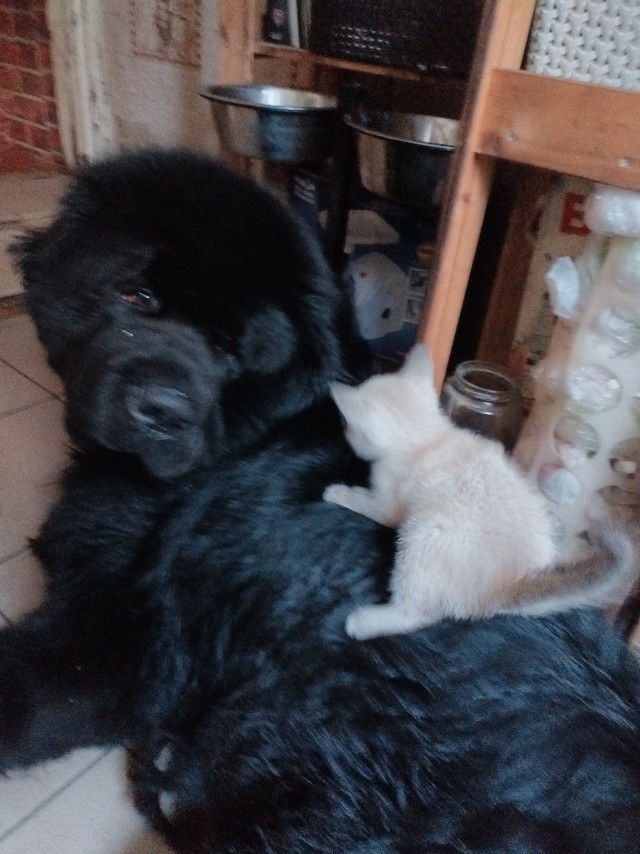 Никто никуда не поедет