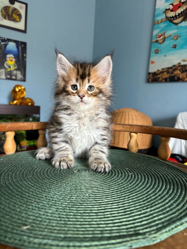 Его первый вторник