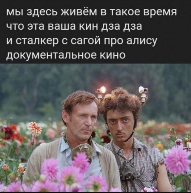 Так себе картинки 07.08.25