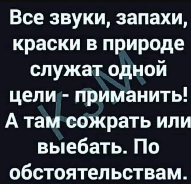 Так себе картинки 19.08.25