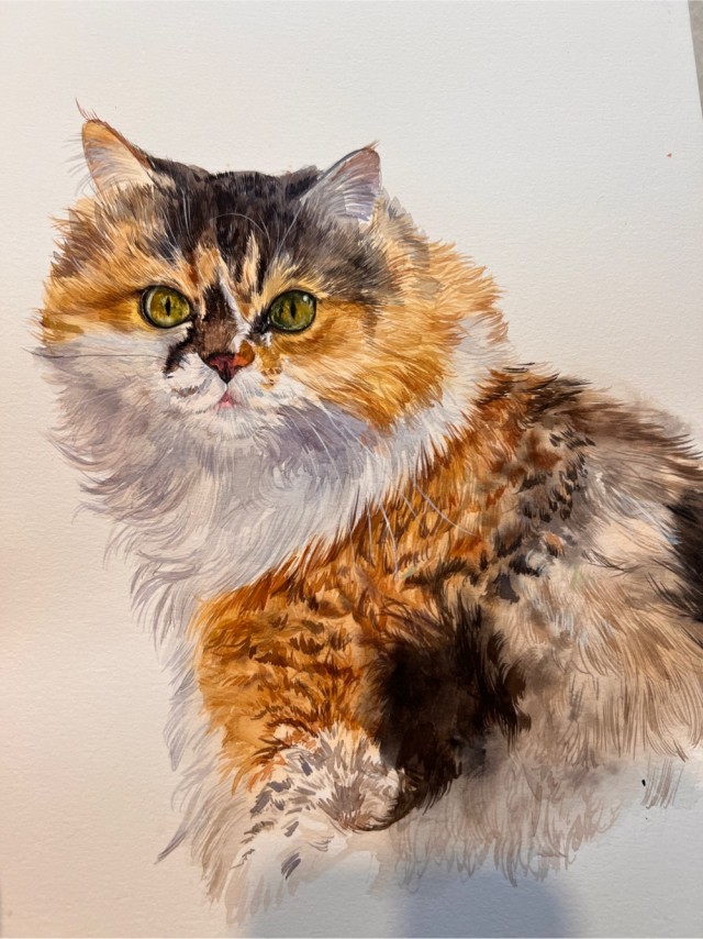Кошка Муся с черным усом акварелью