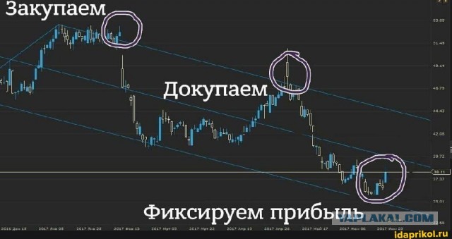Бритва