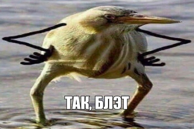 Американский вальдшнеп