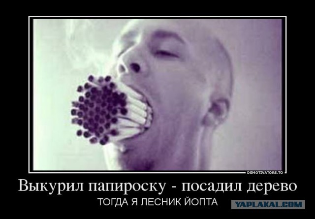 Зелёные сигареты