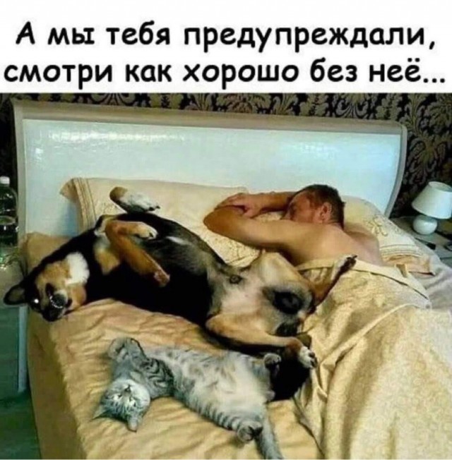 Четверговые картинки