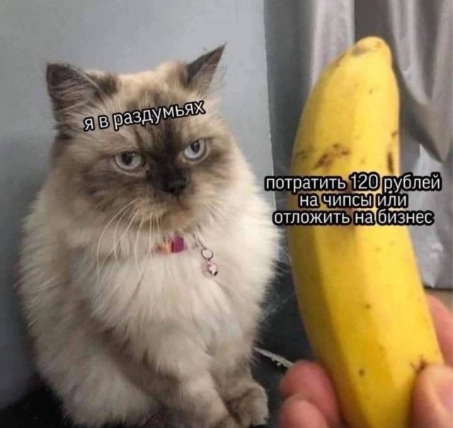 Субботние картинки
