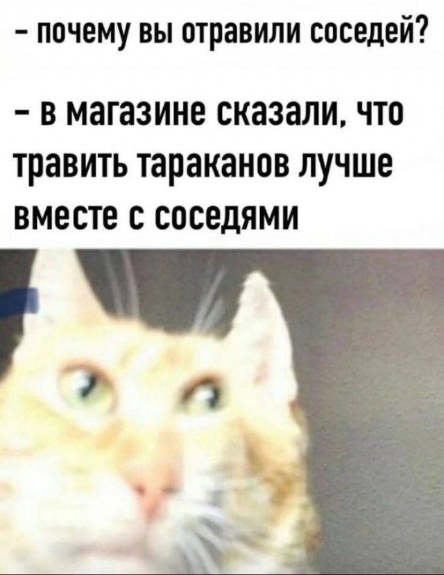 Картинки для деградации 110 (разной степени свежести)