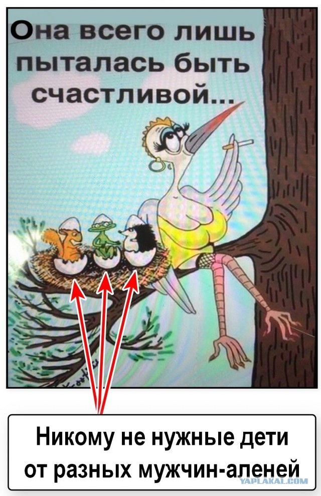 Опасное это занятие — мыть пол в бане вечером