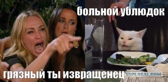 У кого-нибудь есть кирпичная кгбшная стена пристрелить этого повара?