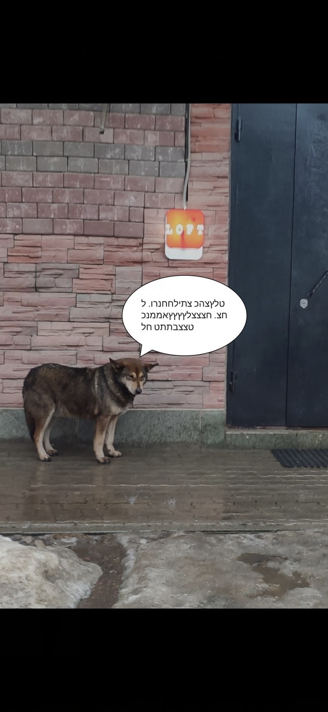 На кого ты нас покинул?!
