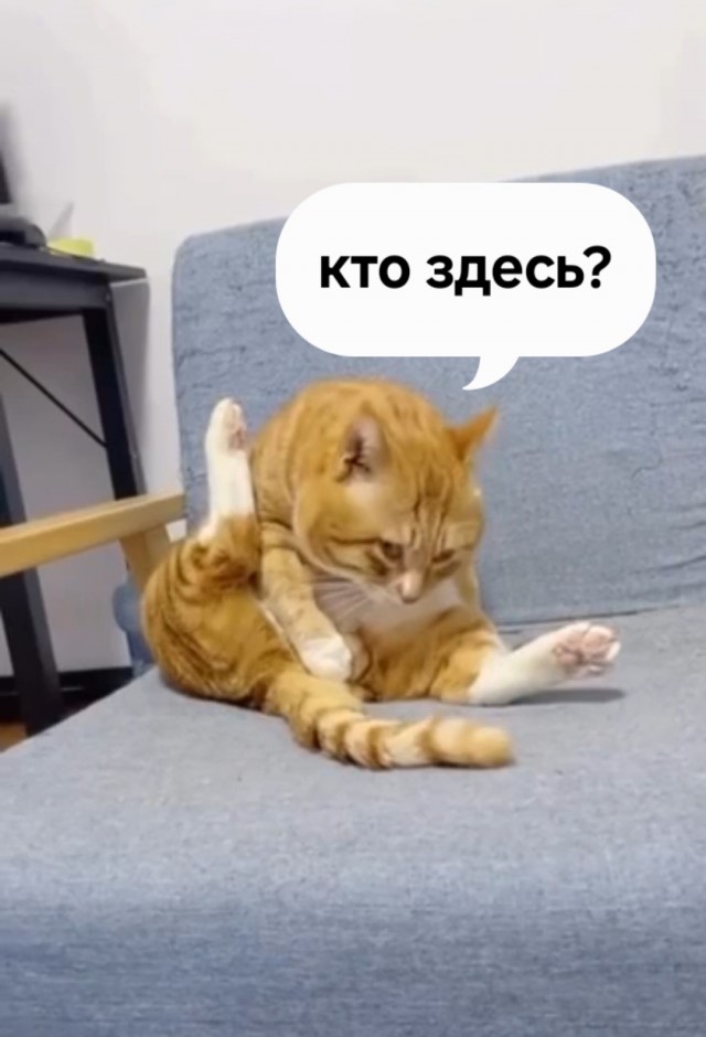 Жалкая пародия и неповторимый оригинал