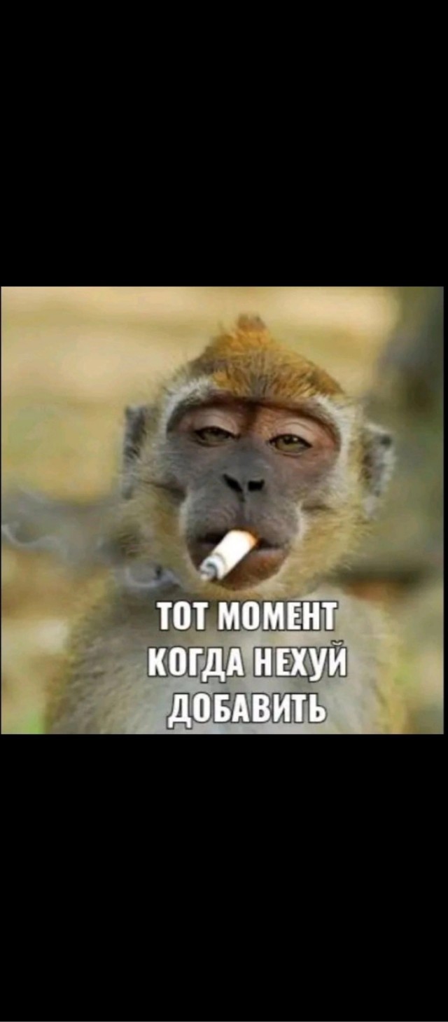 Так себе картинки 19.03.26